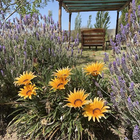 Cabanas Econature Valle Grande  Εξωτερικό φωτογραφία