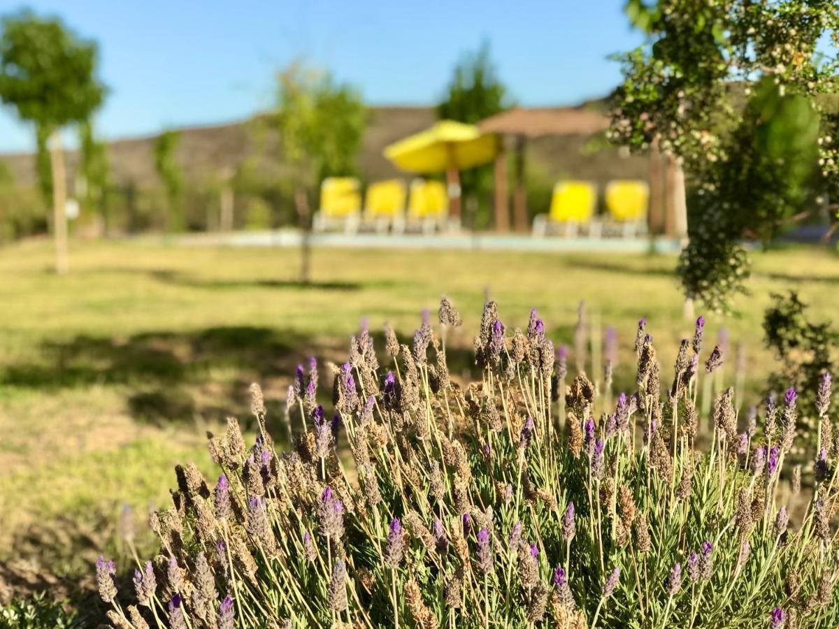 Cabanas Econature Valle Grande  Εξωτερικό φωτογραφία