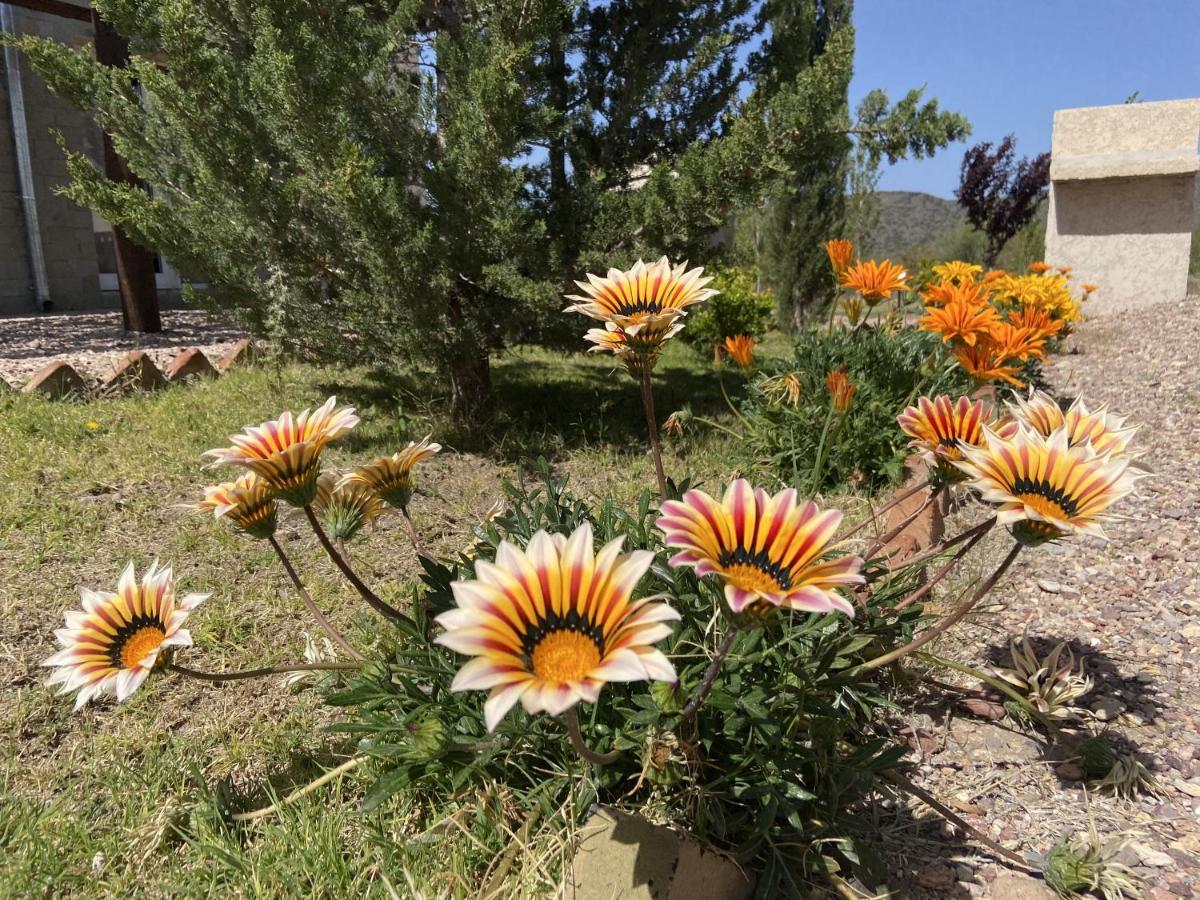 Cabanas Econature Valle Grande  Εξωτερικό φωτογραφία