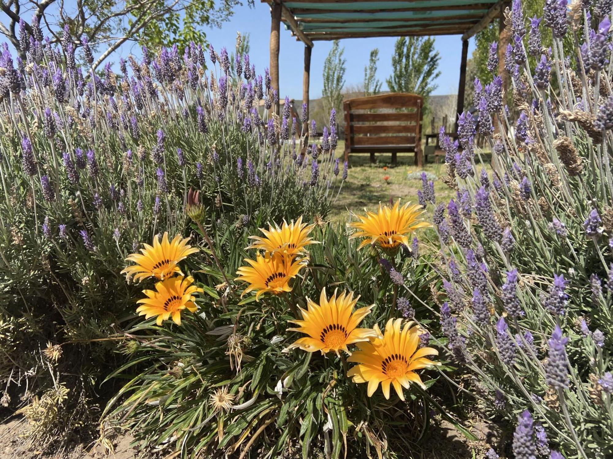 Cabanas Econature Valle Grande  Εξωτερικό φωτογραφία